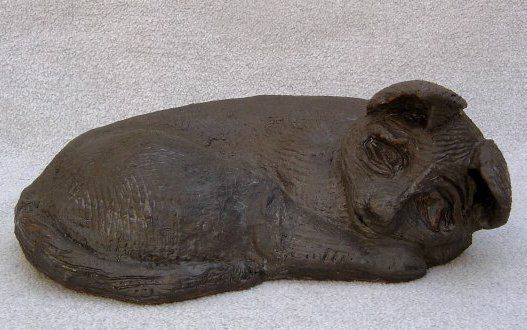 Katze1